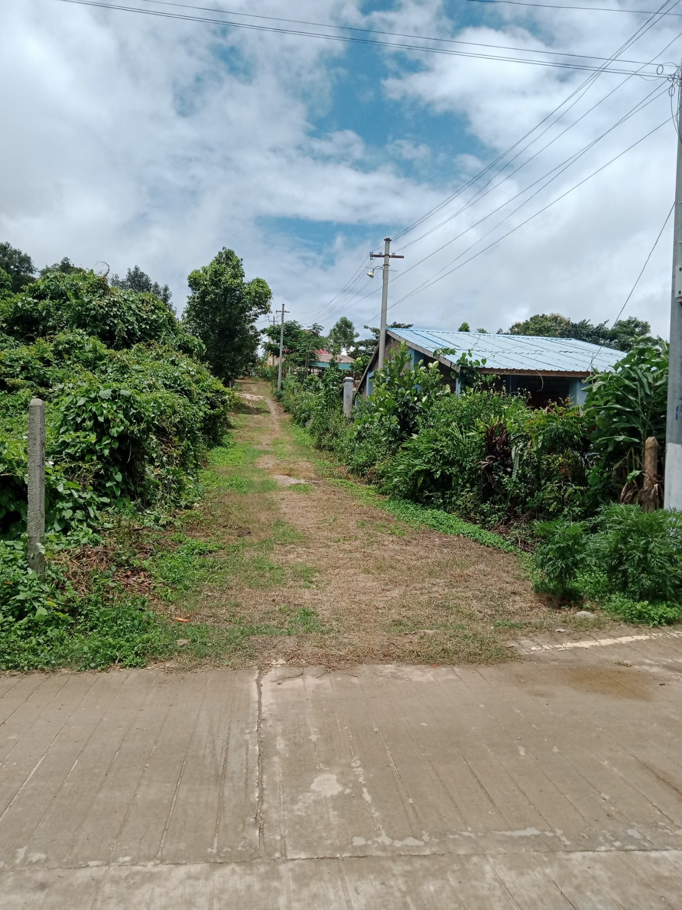 ပြင်ဦးလွင်မြို့တွင် တိတ်ဆိတ်အေးချမ်းသော ရွာမြေကွက်ကျယ် ရောင်းရန်ရှိသည်။